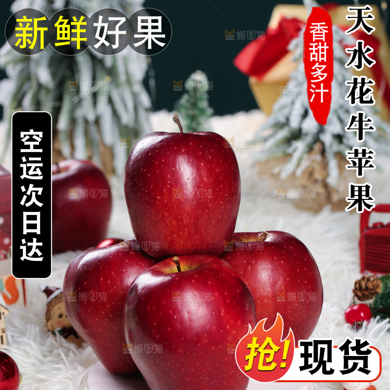 浅底上的圣诞果