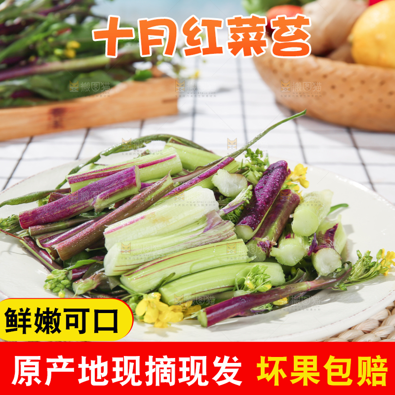 浅底上的红菜苔
