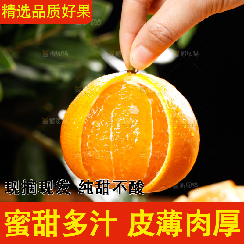 深底上的爱媛果冻橙