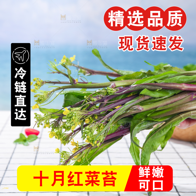 浅底上的红菜苔