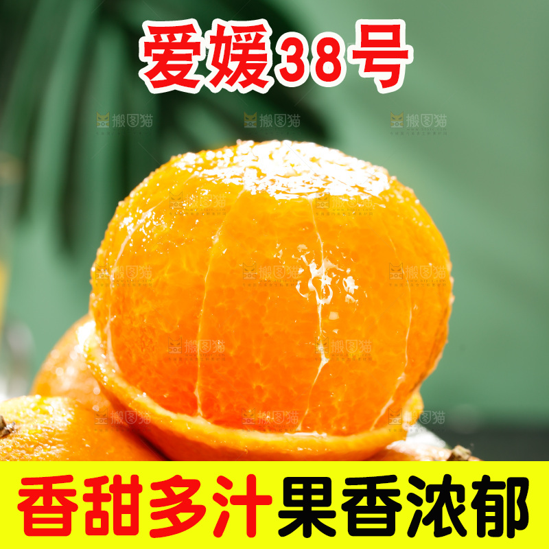 爱媛果冻橙主图