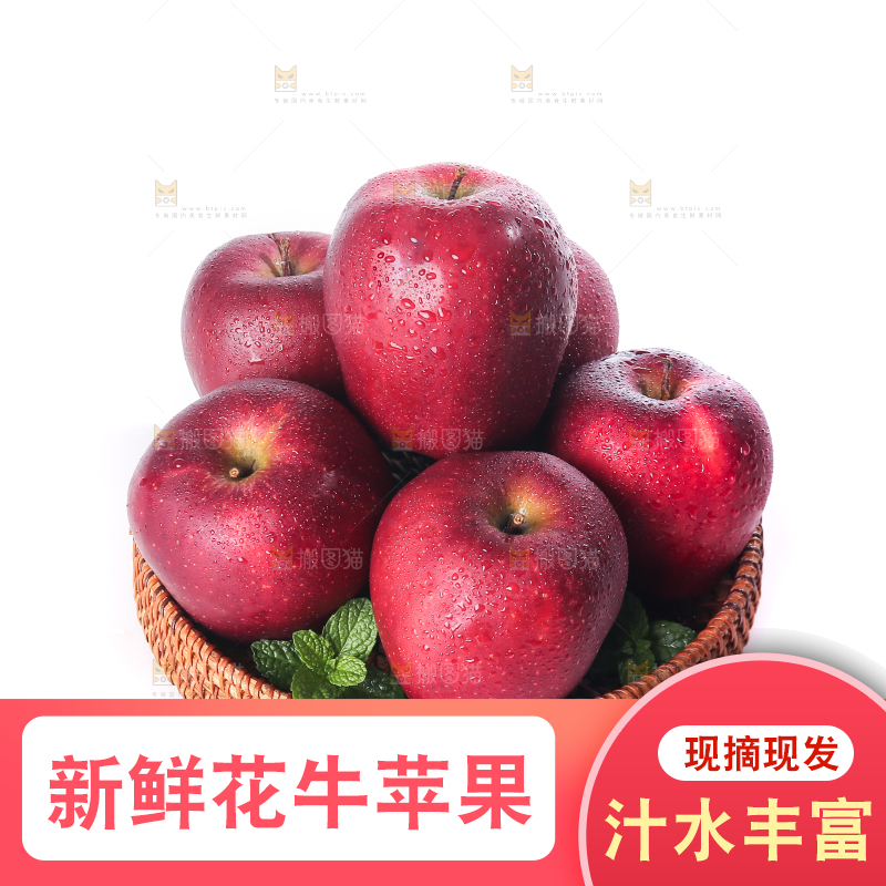 白底上的圣诞果