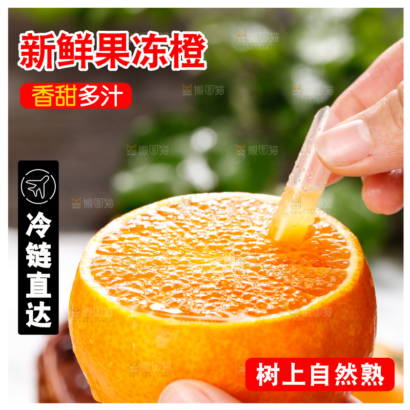 浅底上的爱媛果冻橙