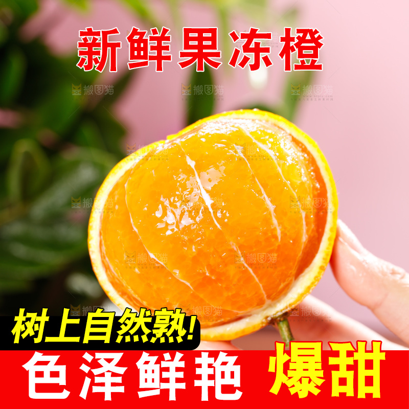 浅底上的爱媛果冻橙
