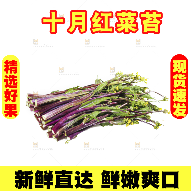 白底上的红菜苔