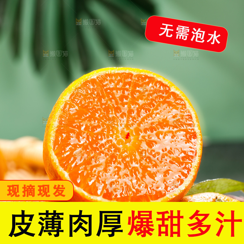 深底上的爱媛果冻橙