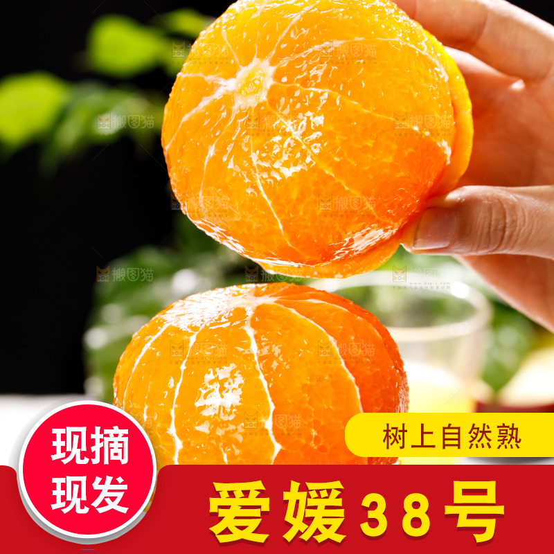 浅底上的爱媛果冻橙