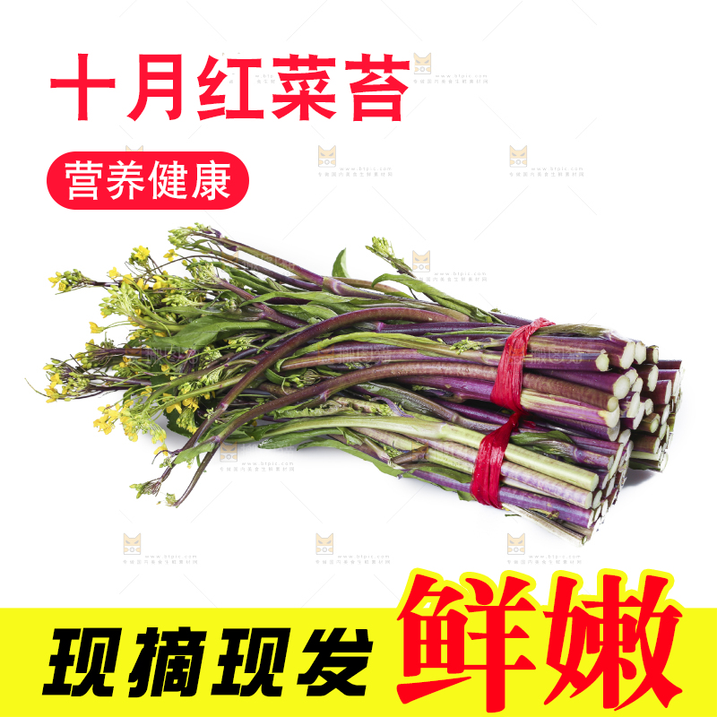 白底上的红菜苔