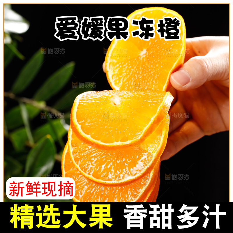 深底上的爱媛果冻橙
