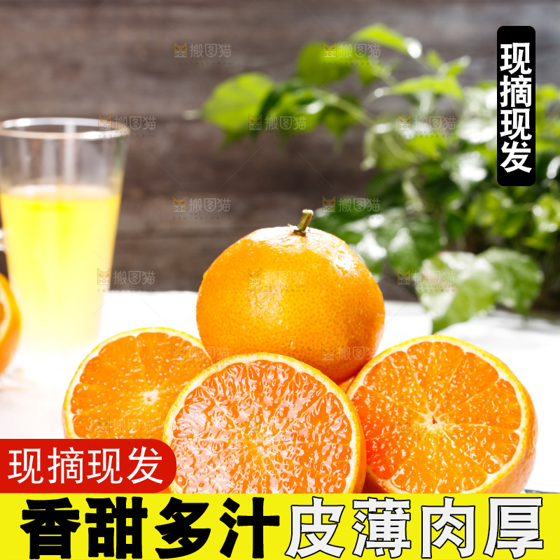 浅底上的爱媛果冻橙