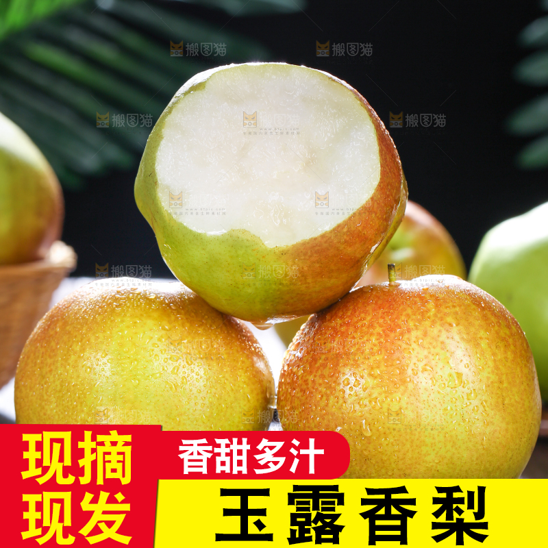 深底上的玉露香梨