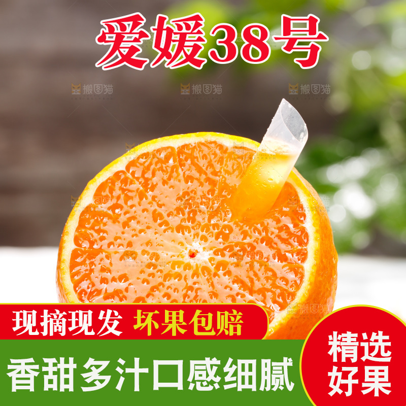 浅底上的爱媛果冻橙