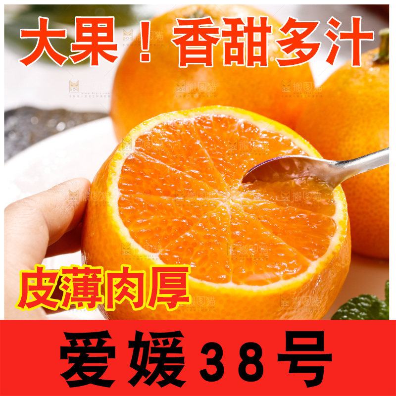 浅底上的爱媛果冻橙