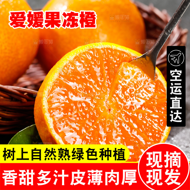 深底上的爱媛果冻橙