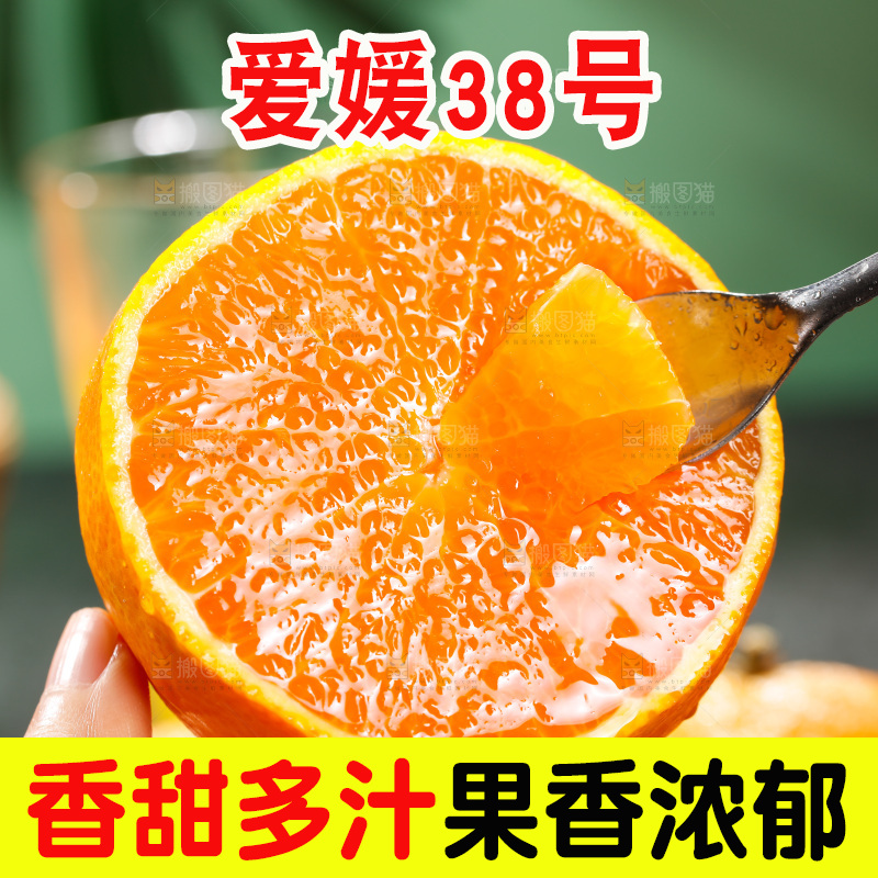 爱媛果冻橙主图