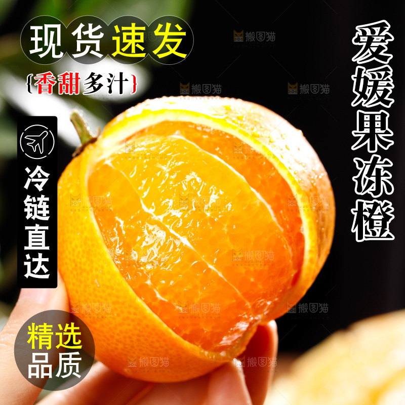 深底上的爱媛果冻橙