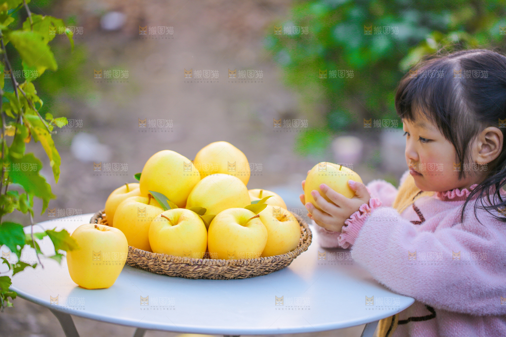 手里拿着黄元帅苹果