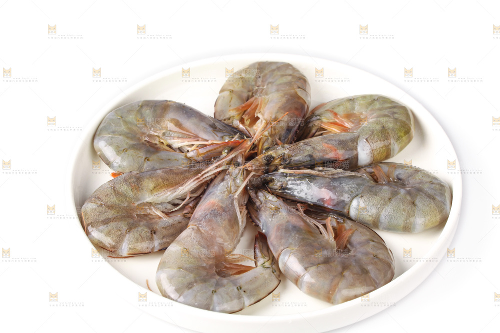 白底上的大虾