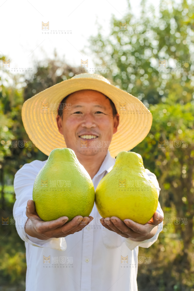 手里拿着沙田柚