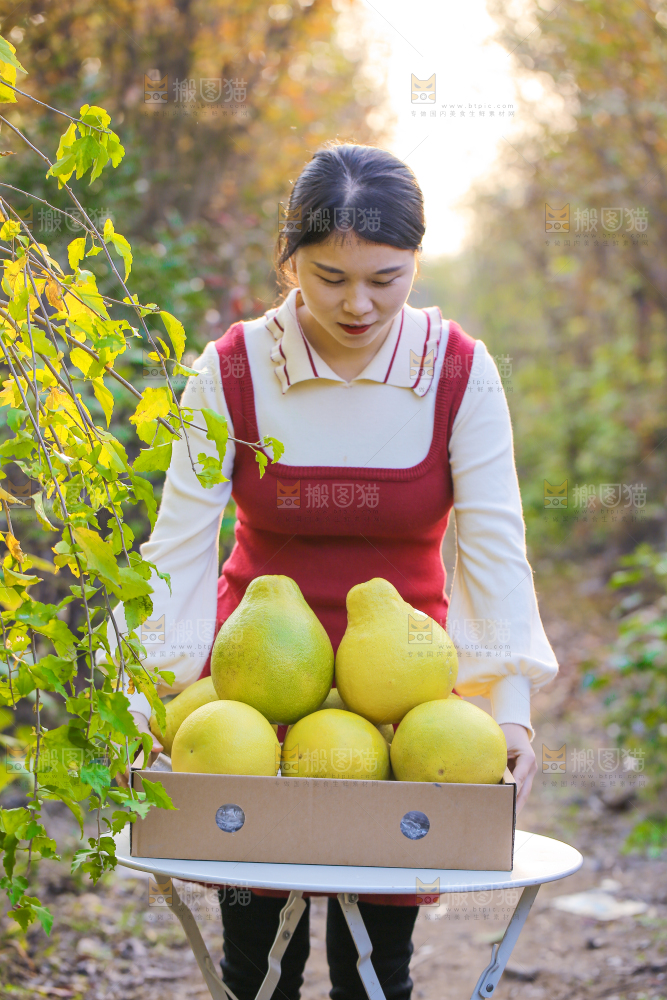 手里拿着沙田柚