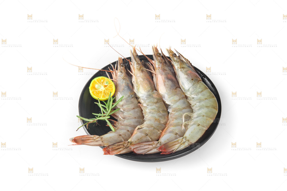 白底上的大虾