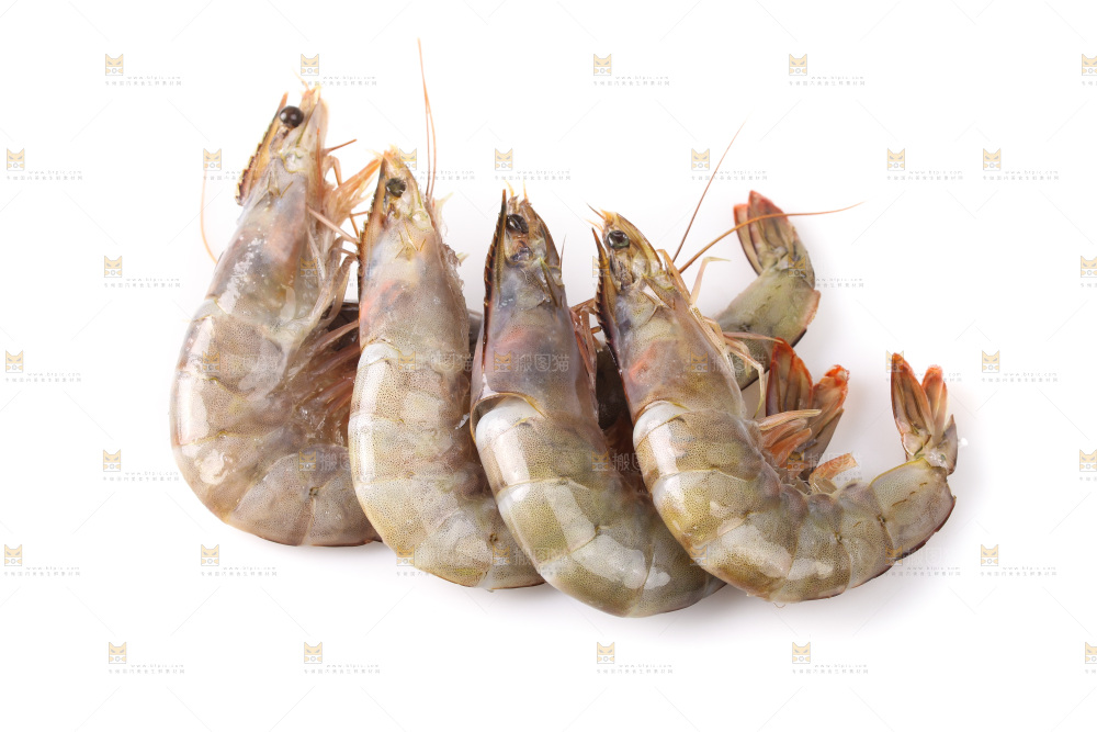 白底上的大虾