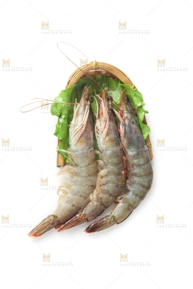 白底上的大虾