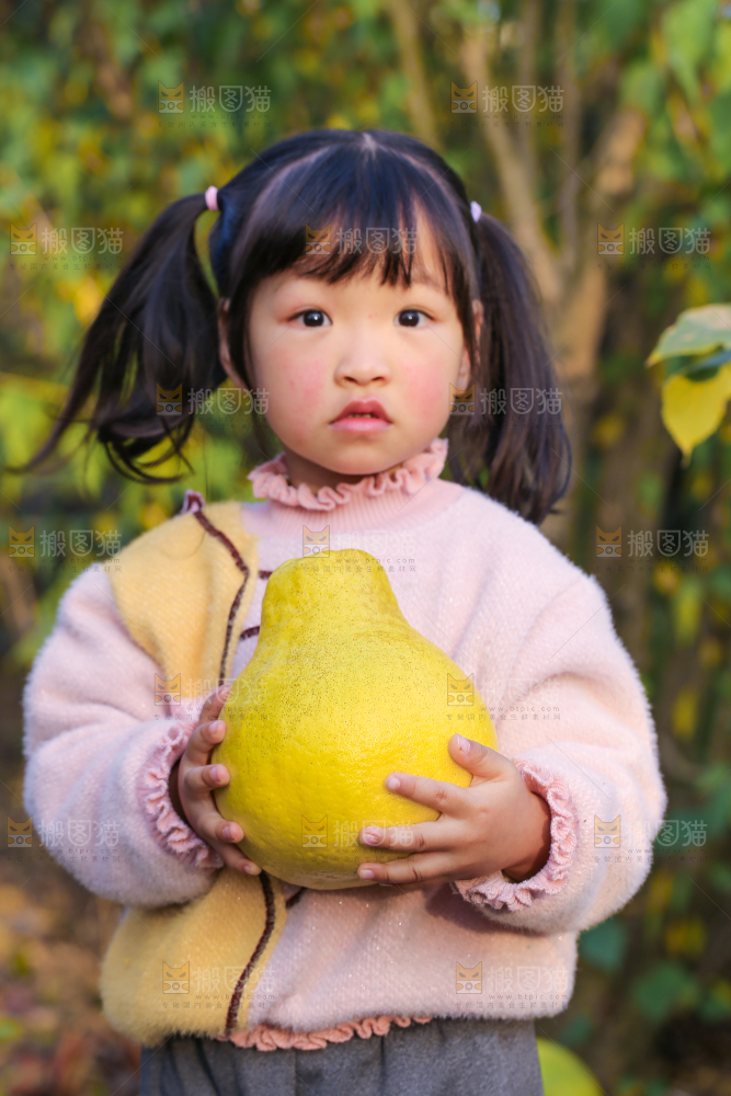 手里拿着沙田柚
