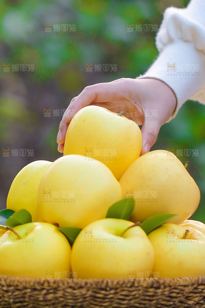 手里拿着黄元帅苹果