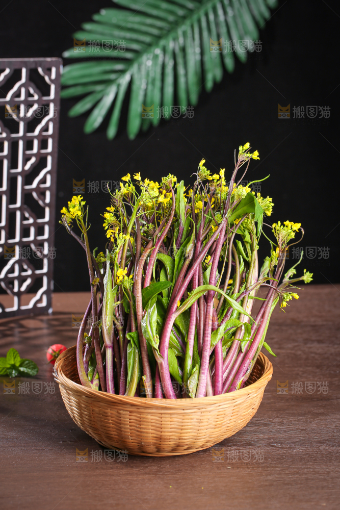 深底上的红菜苔