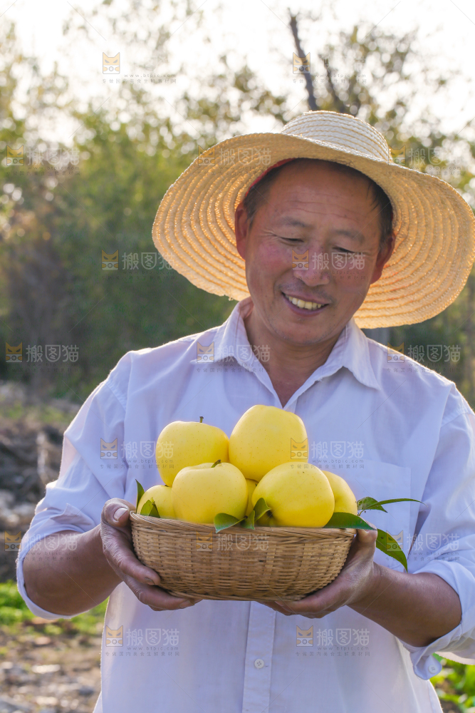 手里拿着黄元帅苹果
