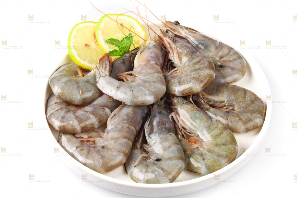 白底上的大虾