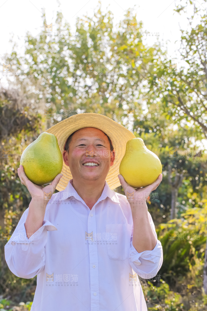 手里拿着沙田柚