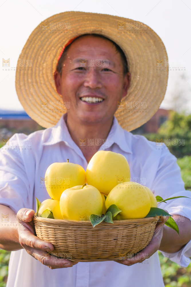 手里拿着黄元帅苹果