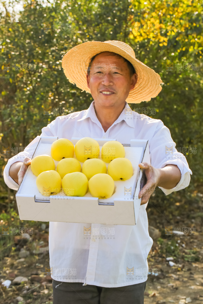手里拿着黄元帅苹果
