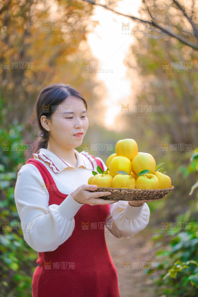 手里拿着黄元帅苹果
