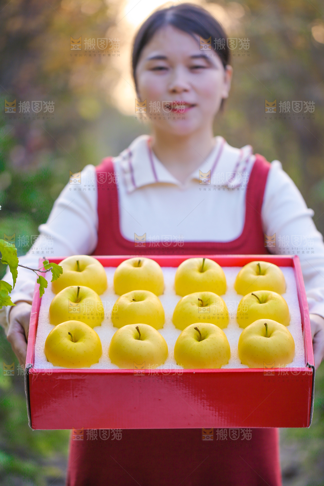手里拿着黄元帅苹果