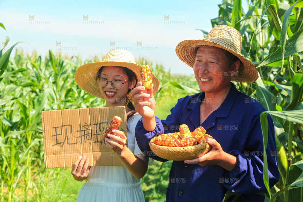 手里拿着小花糯玉米