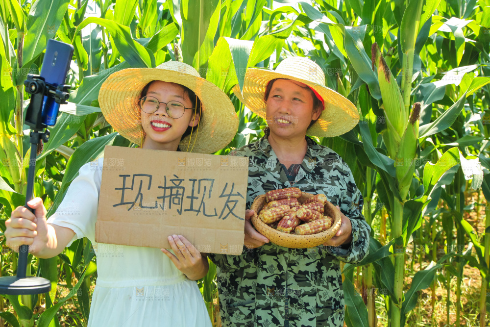 手里拿着小花糯玉米