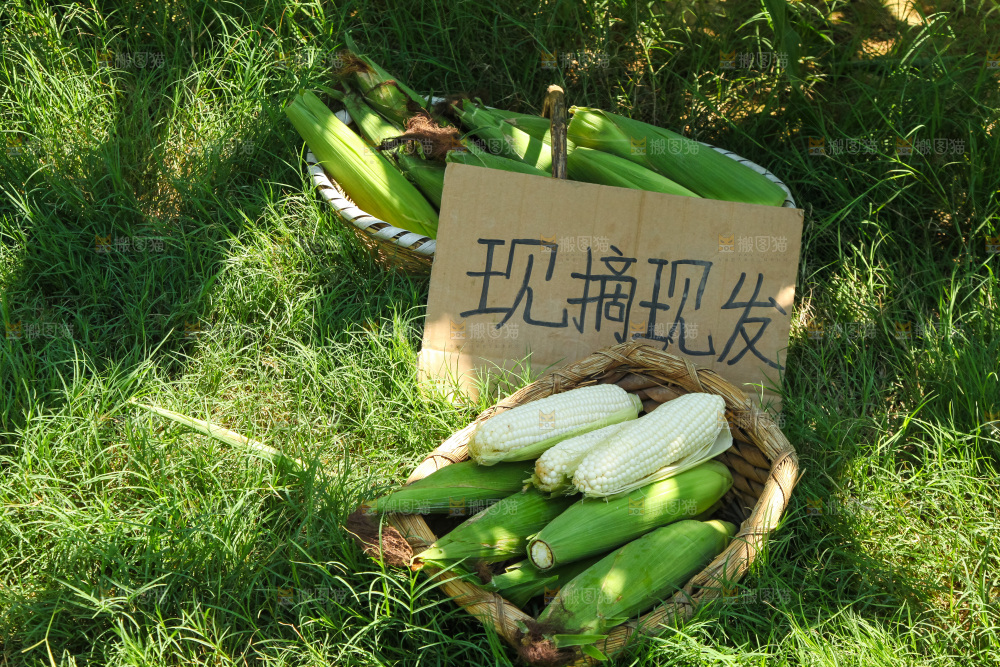 手里拿着牛奶玉米