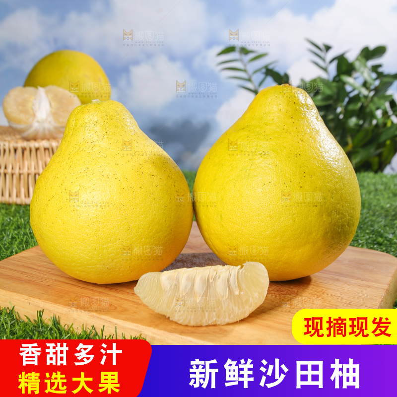 浅底上的沙田柚