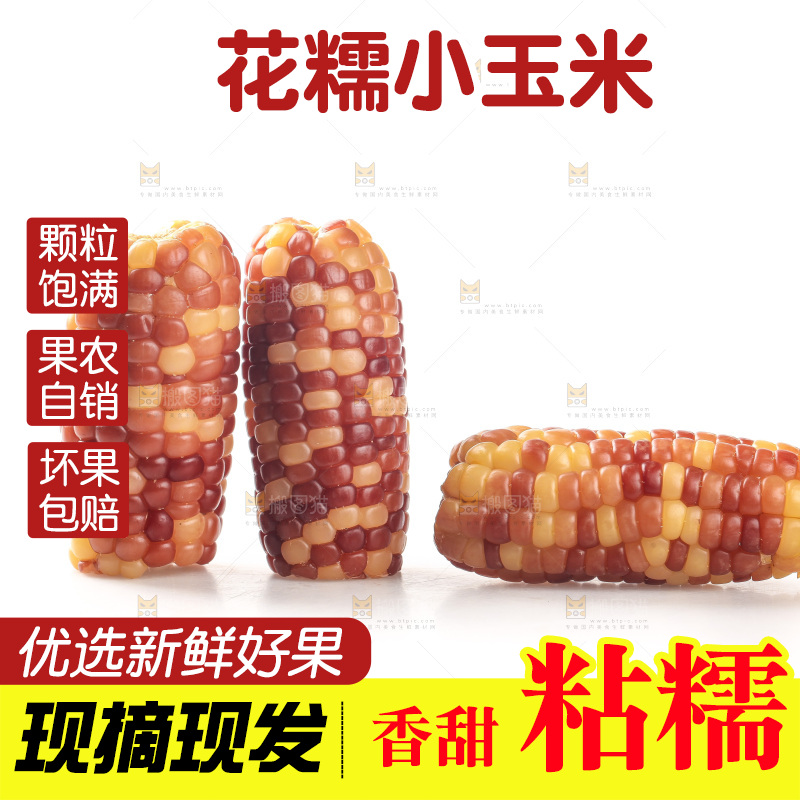 白底上的小花糯玉米