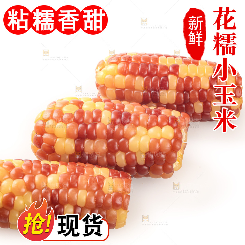 白底上的小花糯玉米
