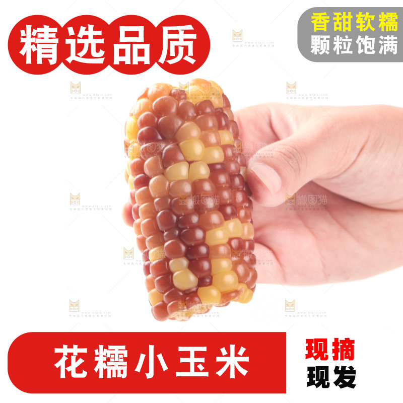 白底上的小花糯玉米
