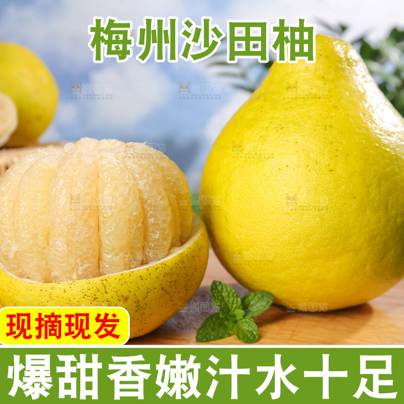 浅底上的沙田柚