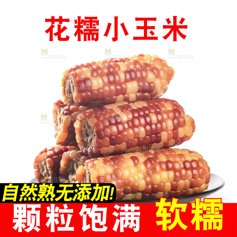 白底上的小花糯玉米