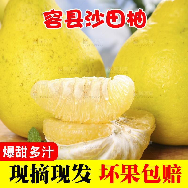 浅底上的沙田柚