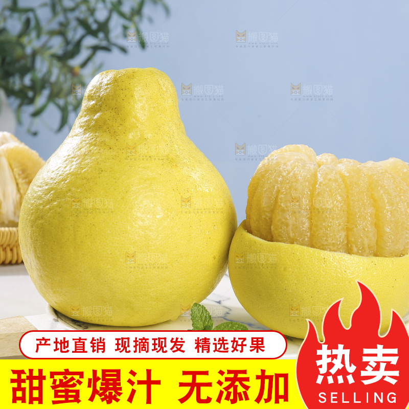 浅底上的沙田柚