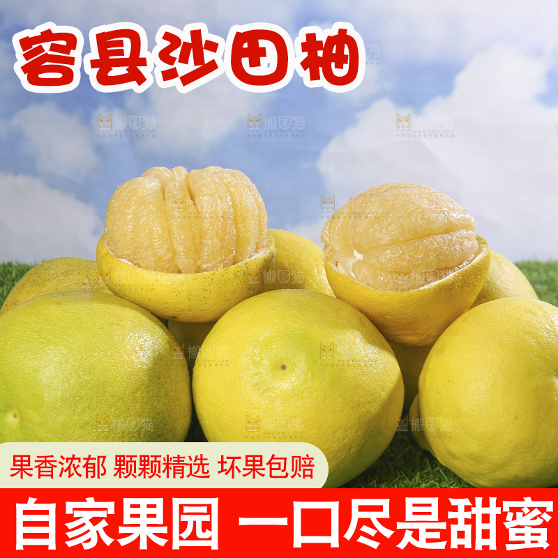 浅底上的沙田柚