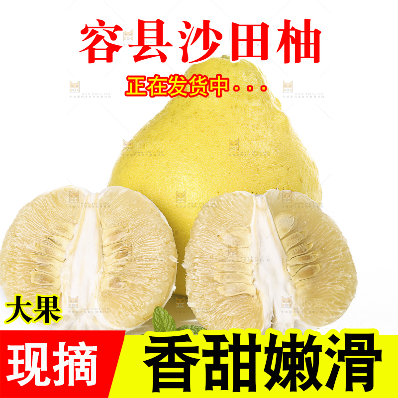 白底上的沙田柚